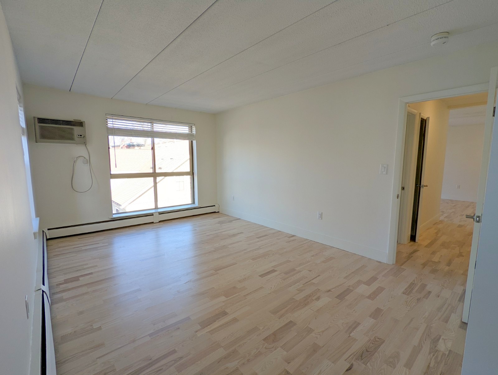 16 Trowbridge St, Harvard Square