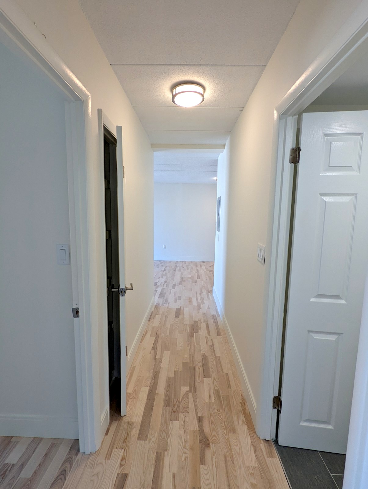 16 Trowbridge St, Harvard Square