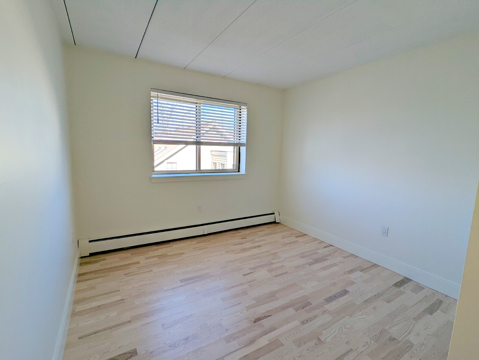 16 Trowbridge St, Harvard Square