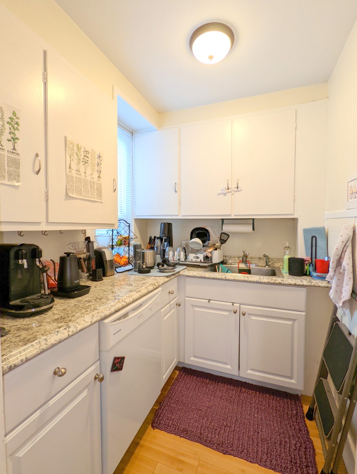 23 Thorndike St, Davis Square