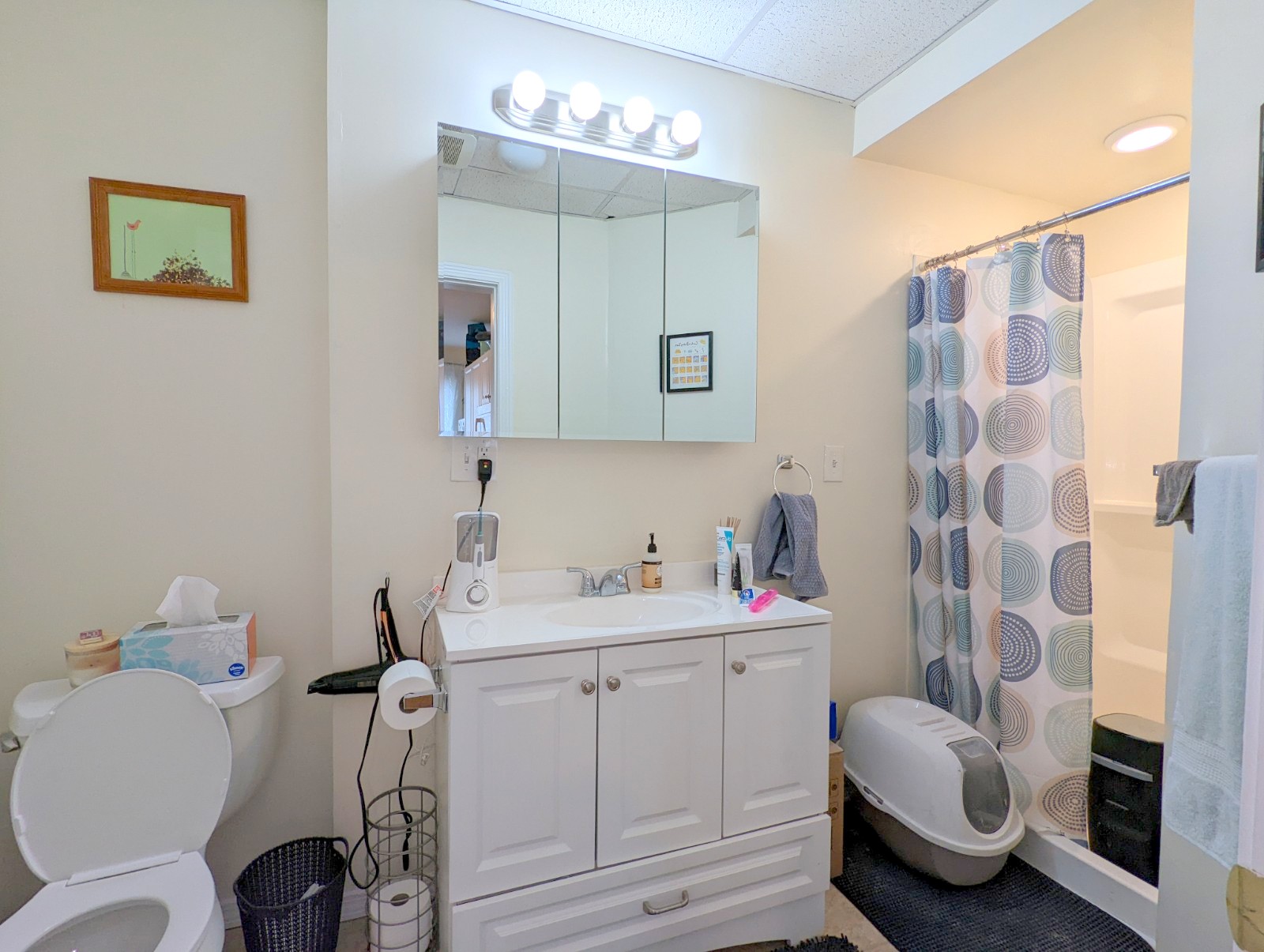 23 Thorndike St, Davis Square