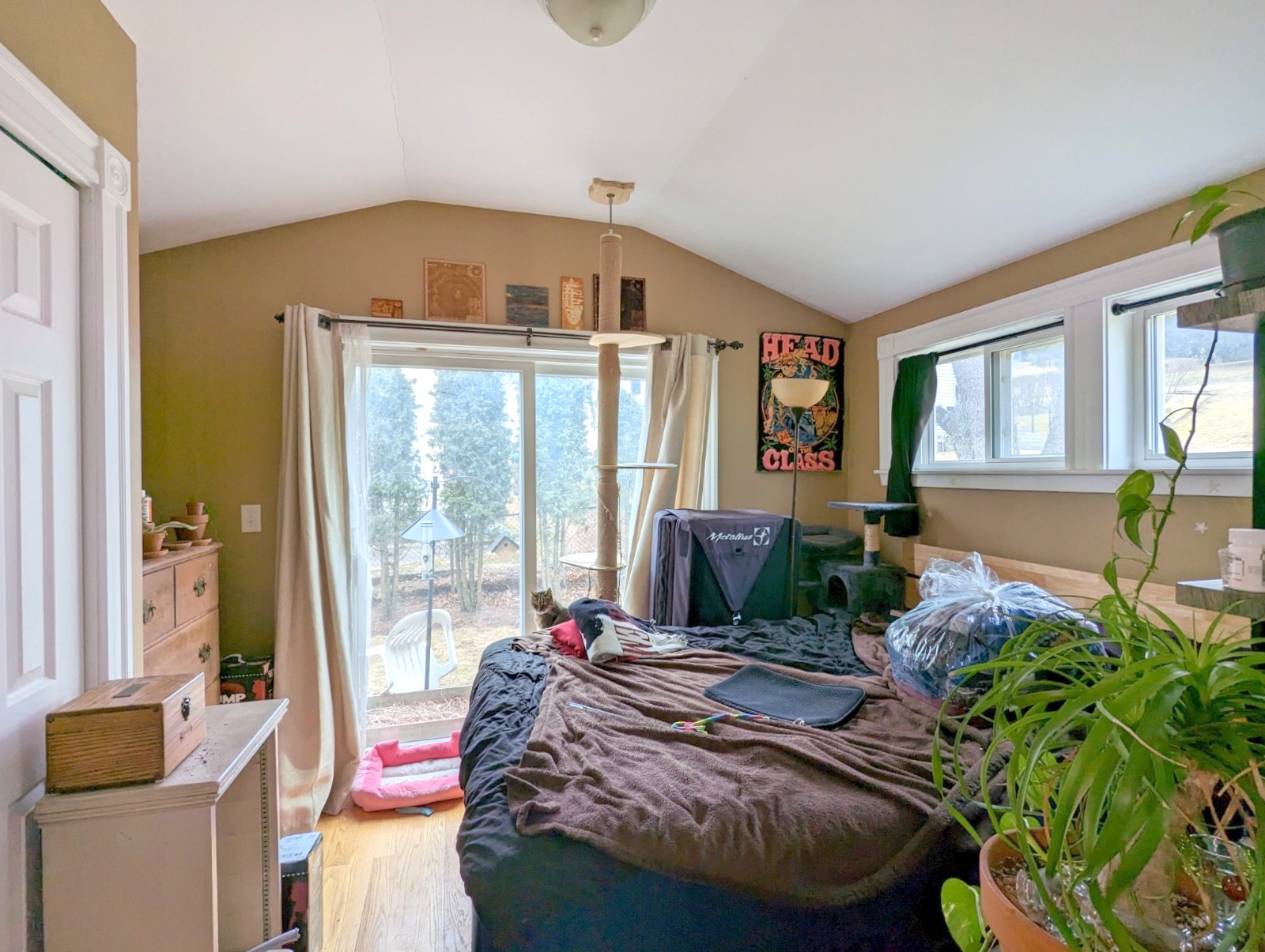 20 Bellevue St, Medford