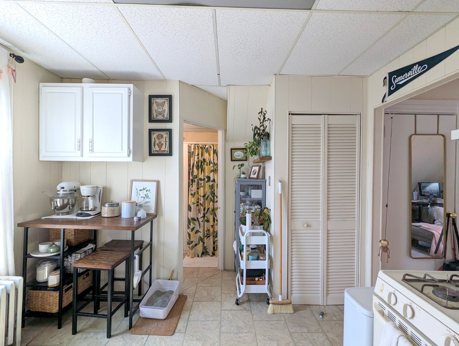 20 Mossland St, Spring Hill