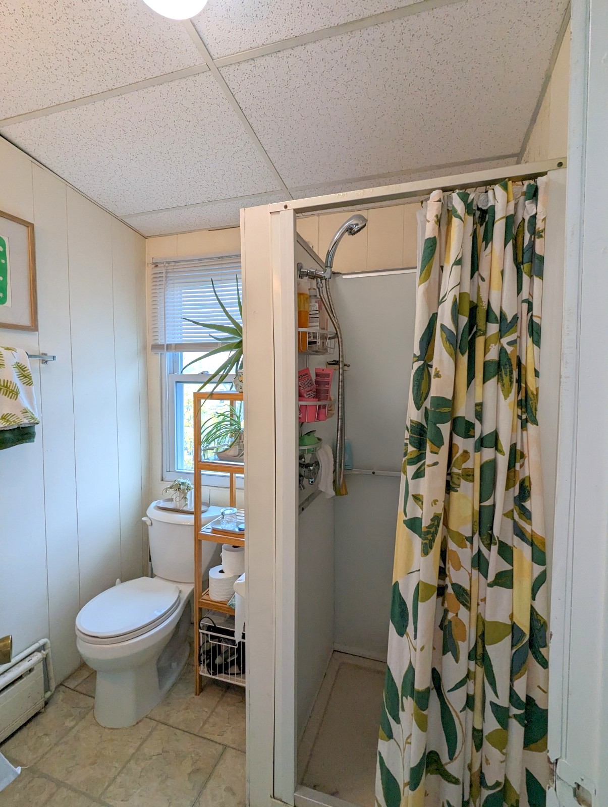 20 Mossland St, Spring Hill