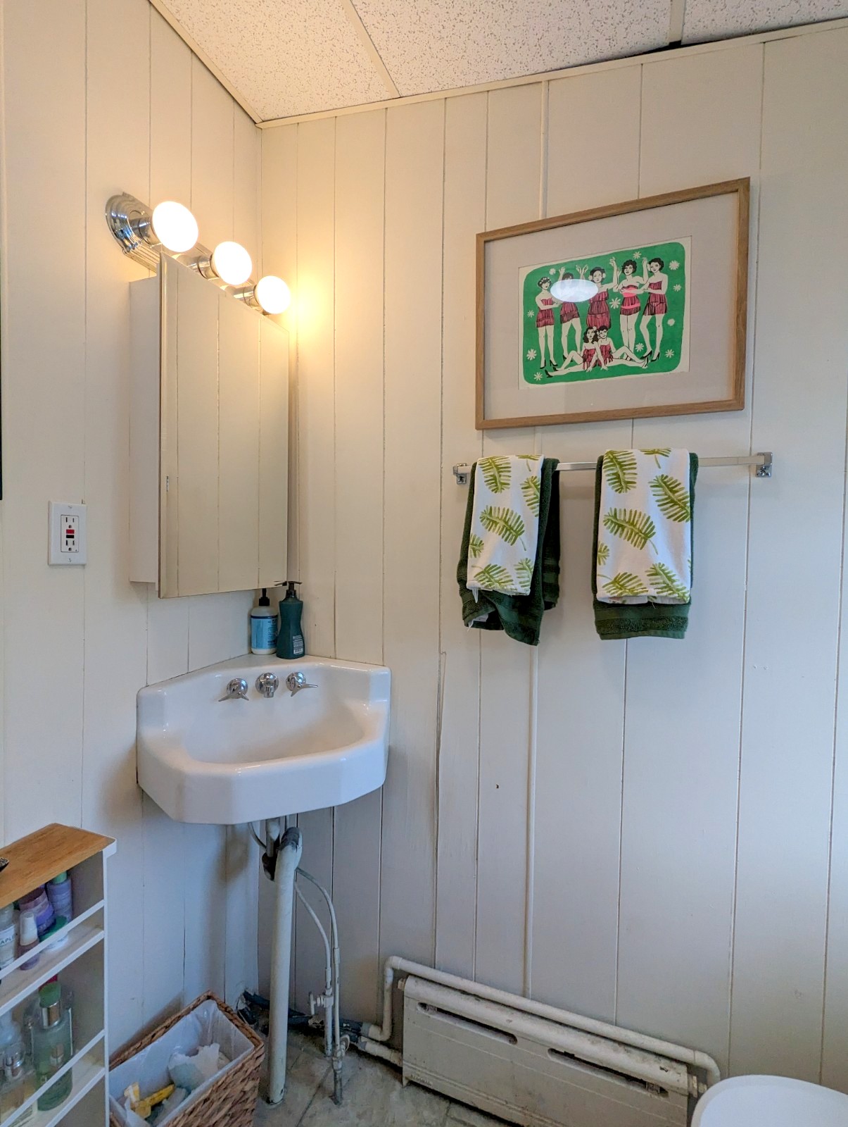 20 Mossland St, Spring Hill