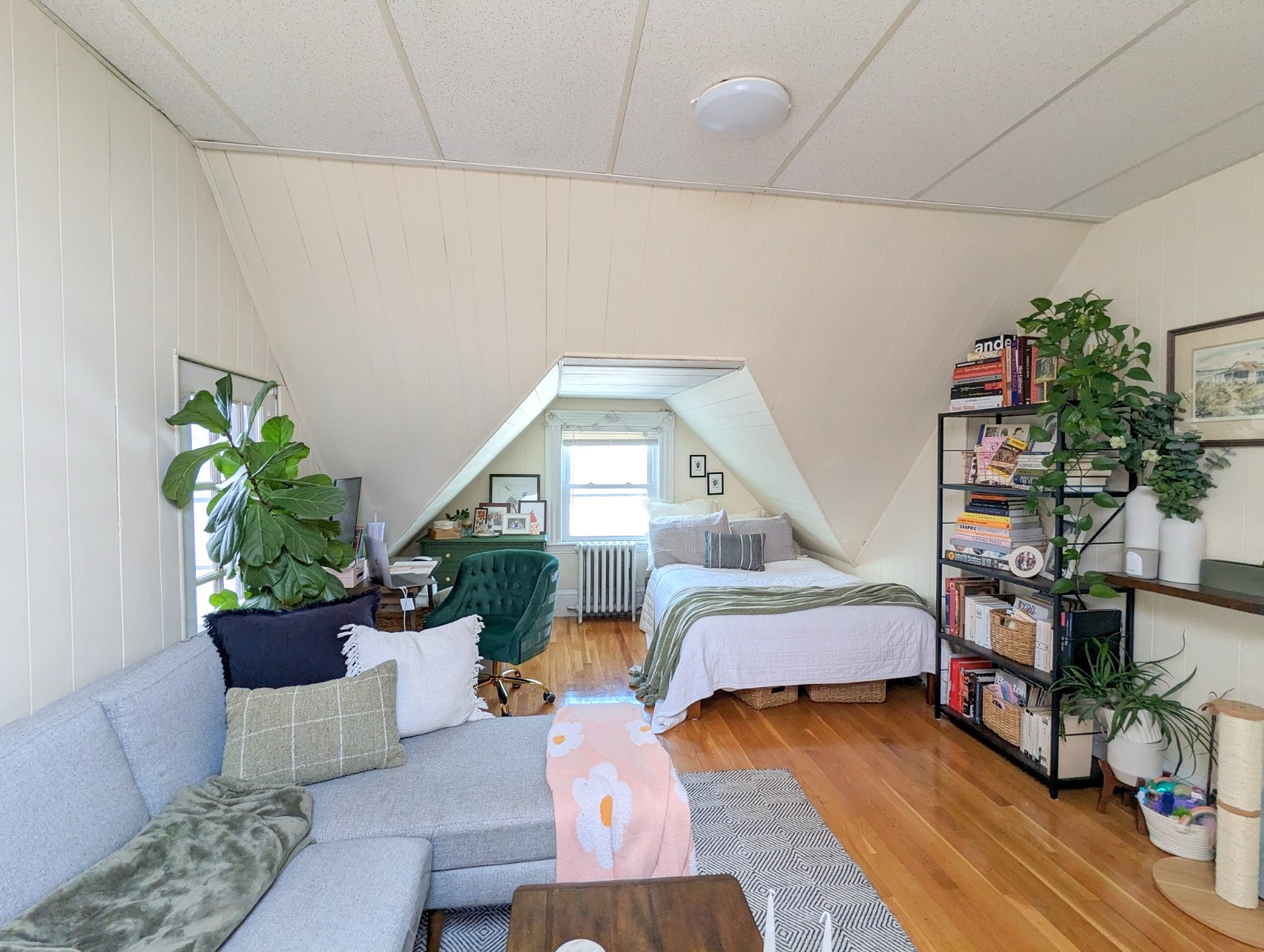 20 Mossland St, Spring Hill