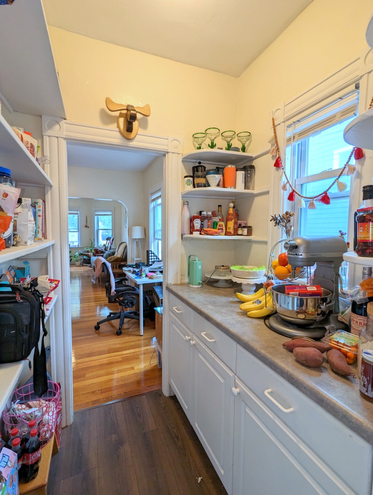 13 Porter St, Spring Hill