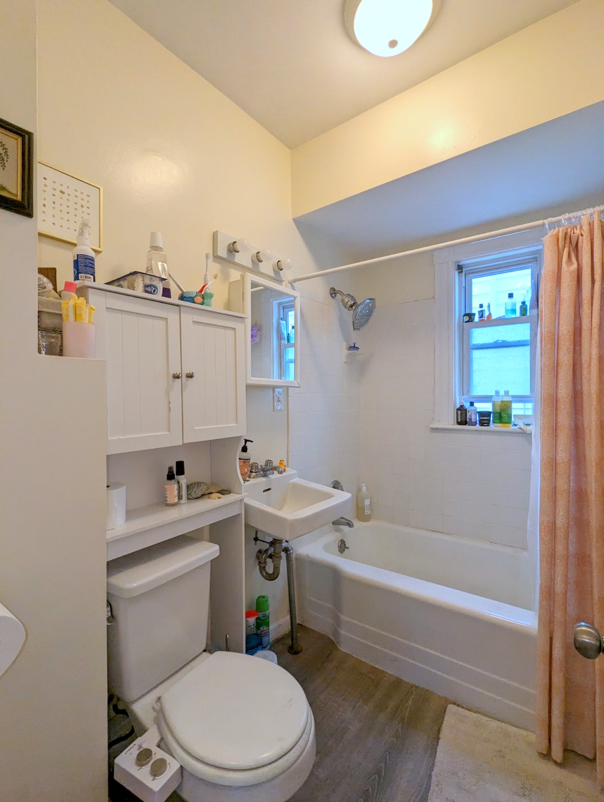 13 Porter St, Spring Hill