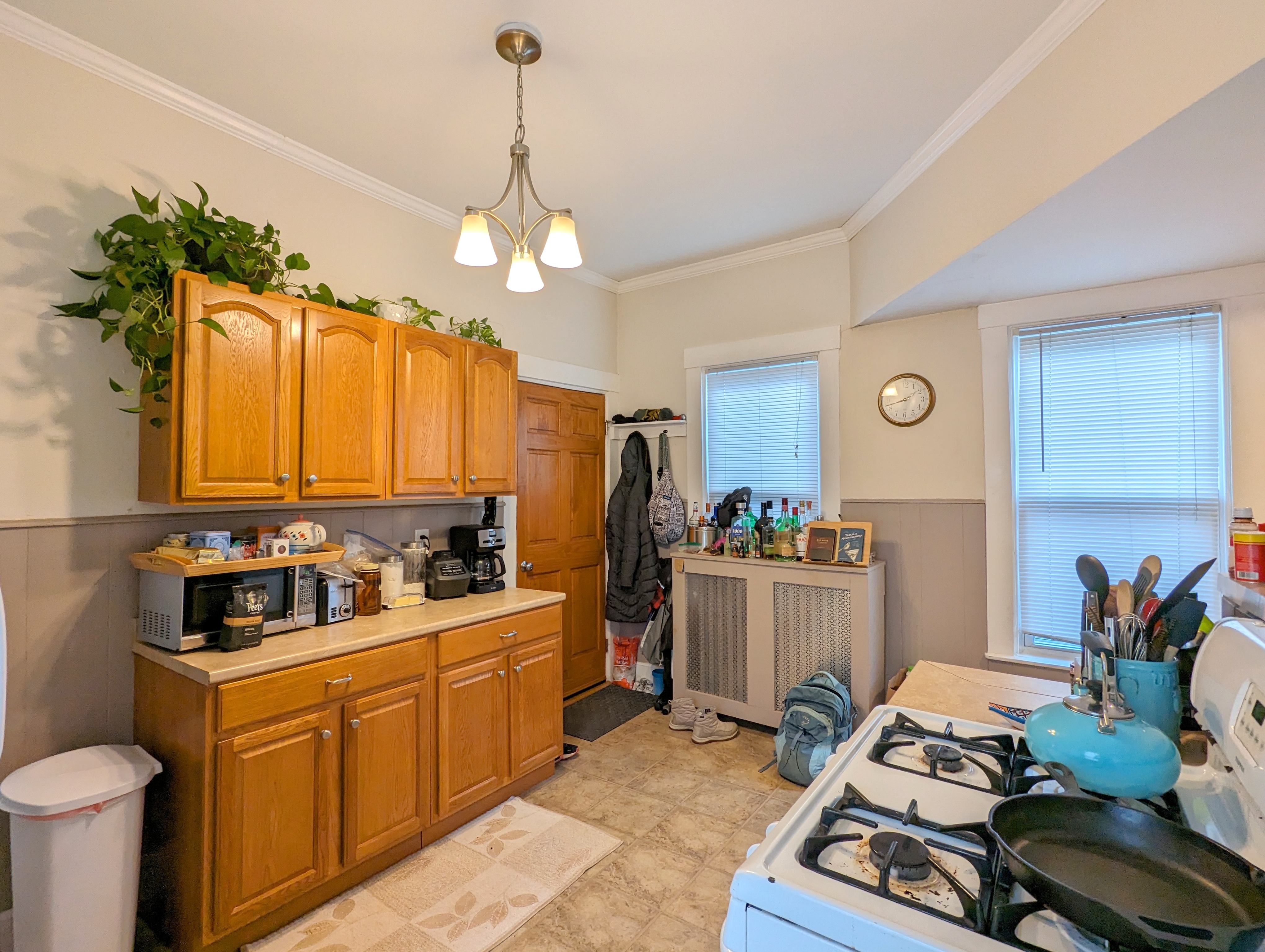 18 Thorpe St, Prospect Hill