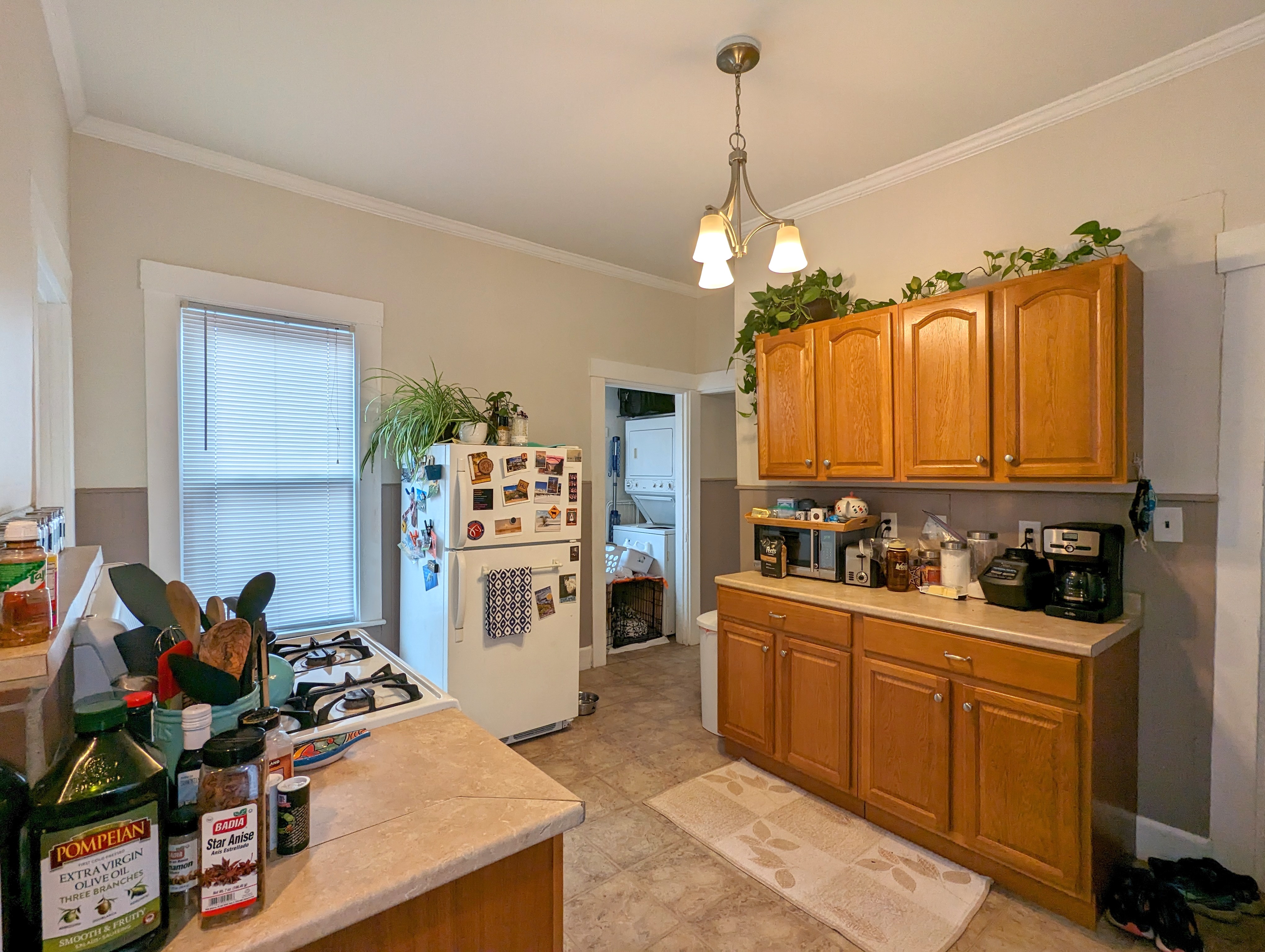 18 Thorpe St, Prospect Hill