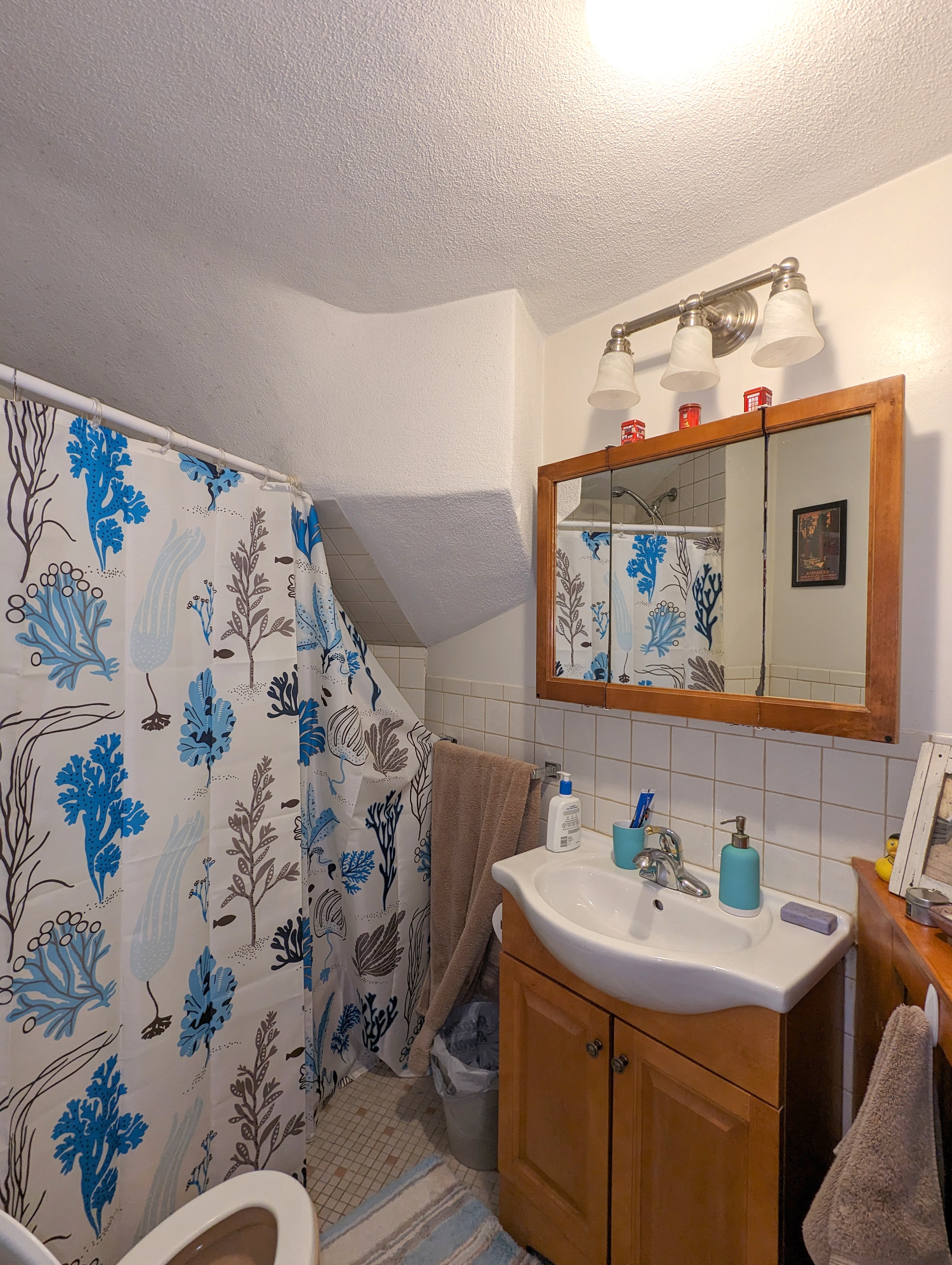 18 Thorpe St, Prospect Hill