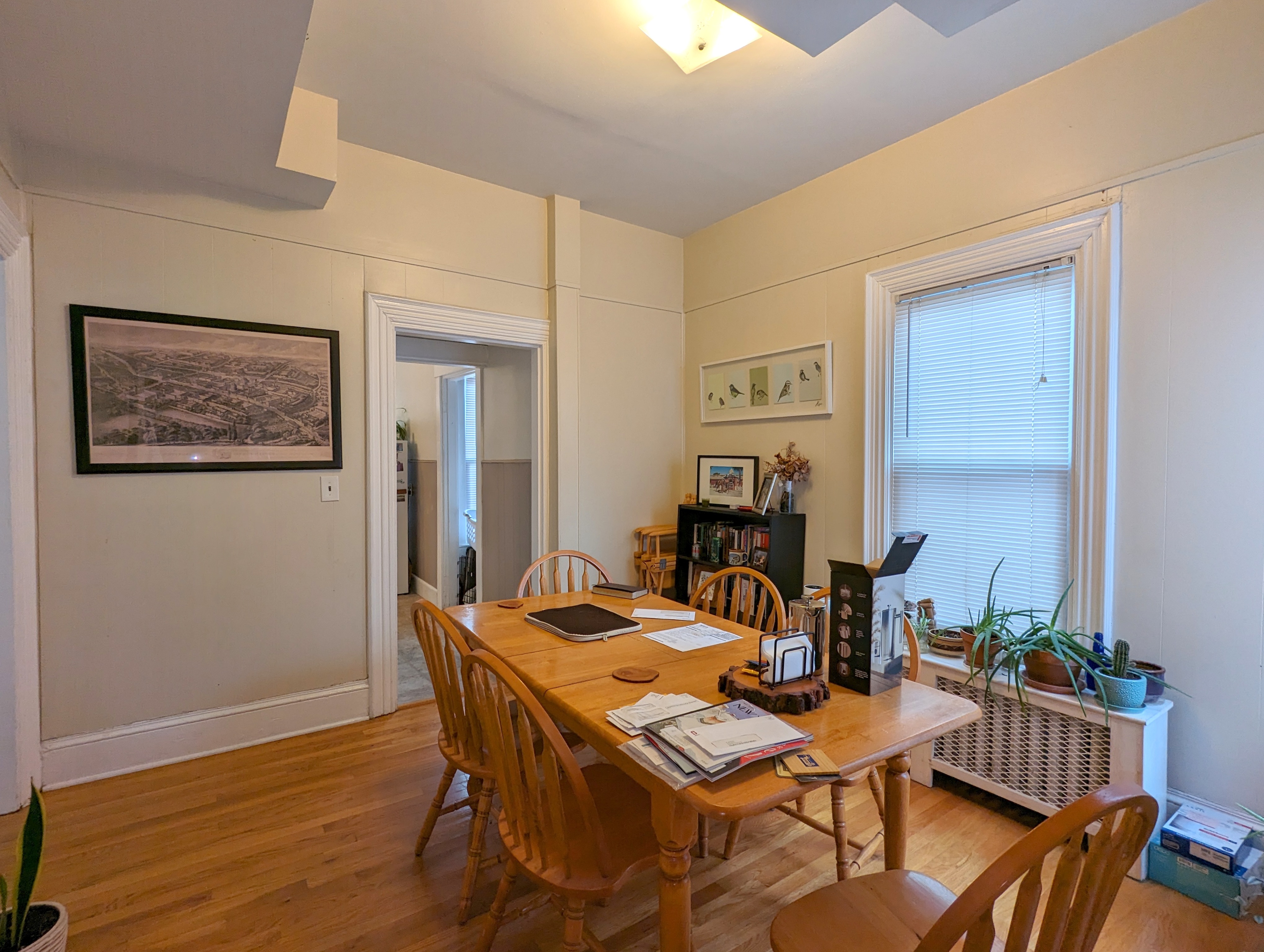 18 Thorpe St, Prospect Hill