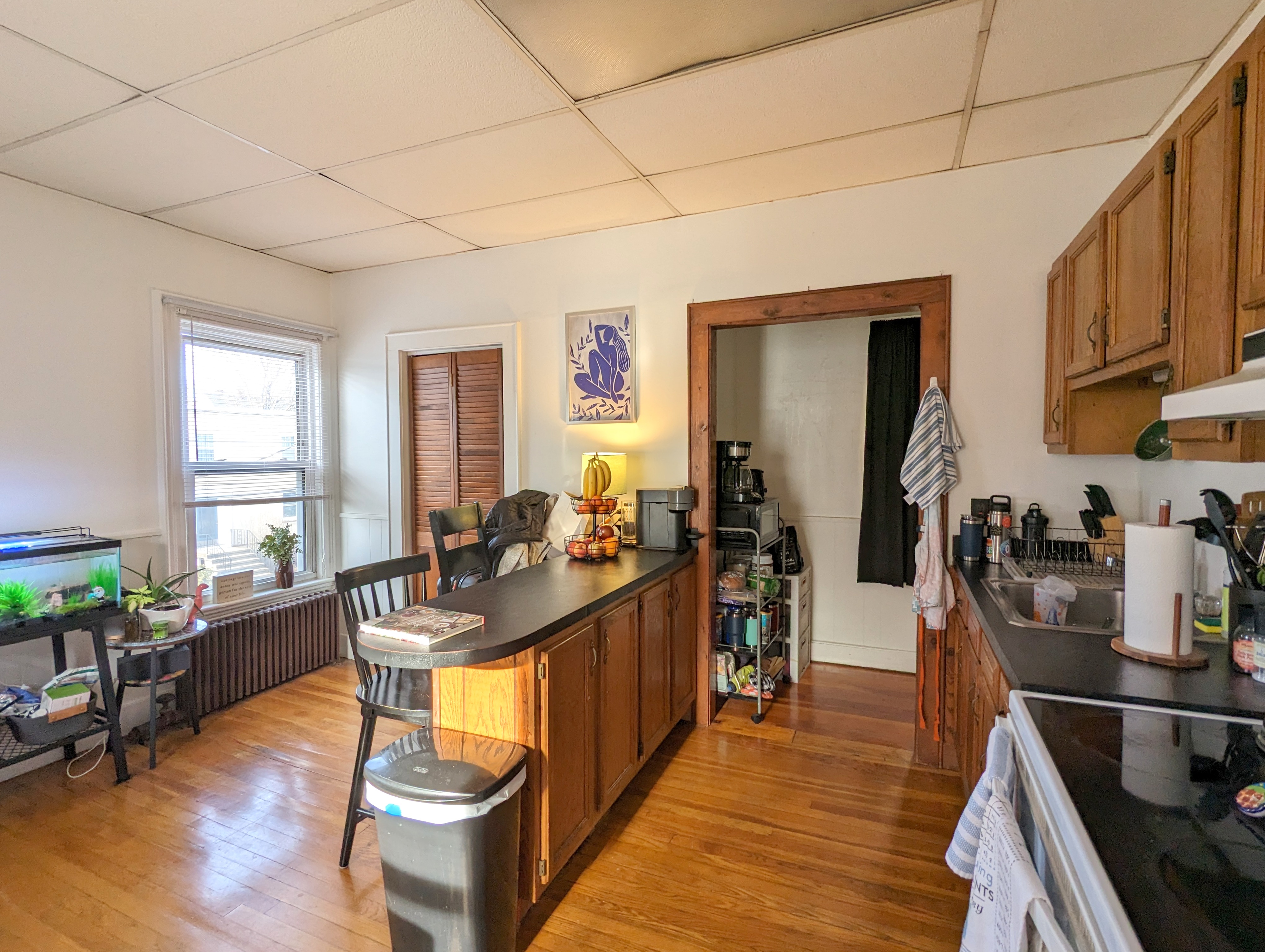 74 Dover St, Davis Square