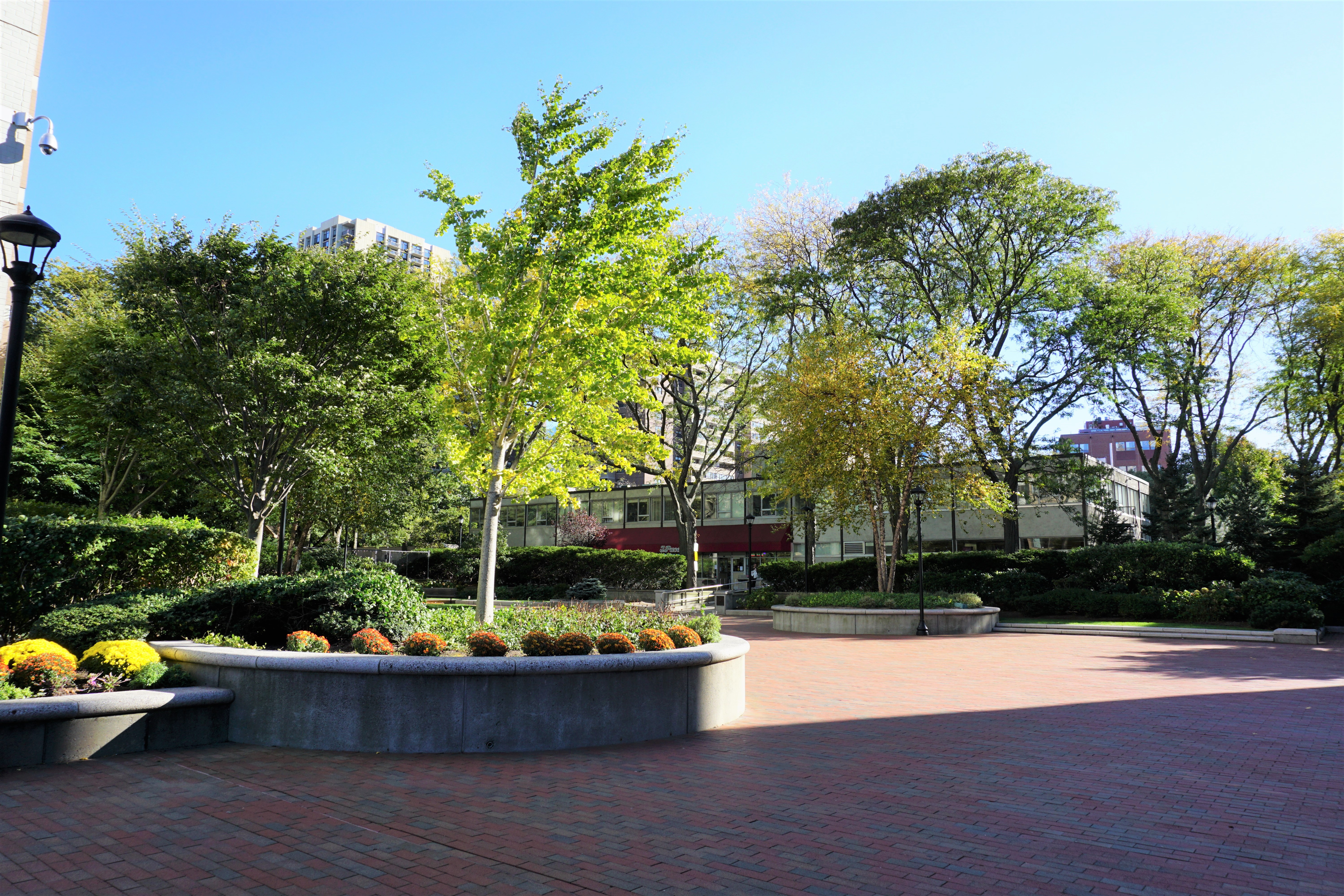 8 Whittier Pl, West End