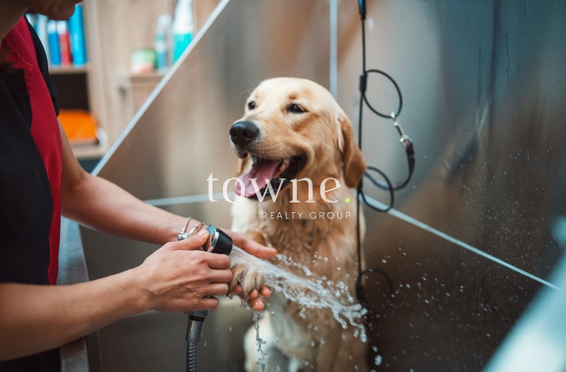 101 Asheville Rd, Chestnut Hill