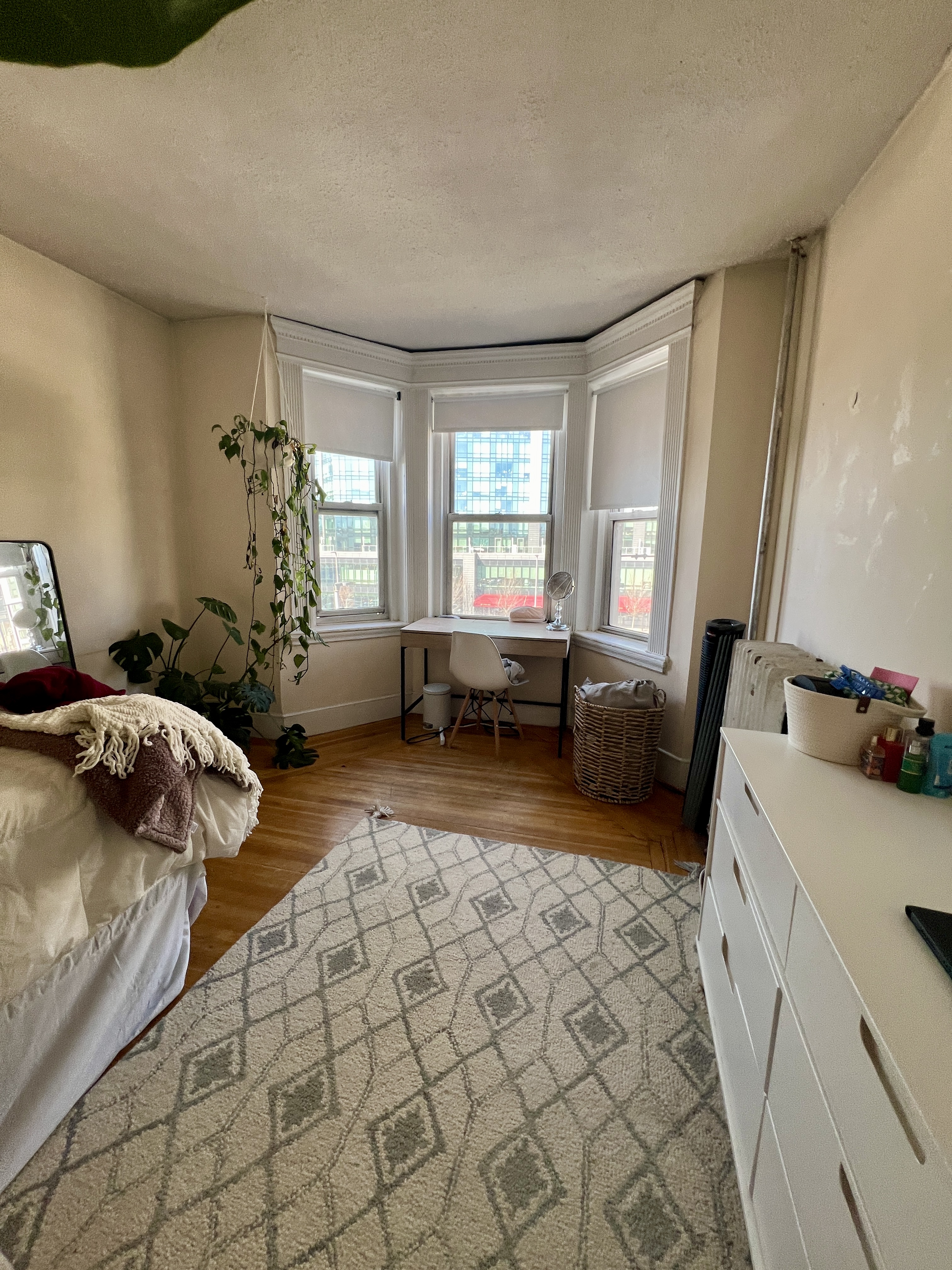 133 Peterborough St, Fenway