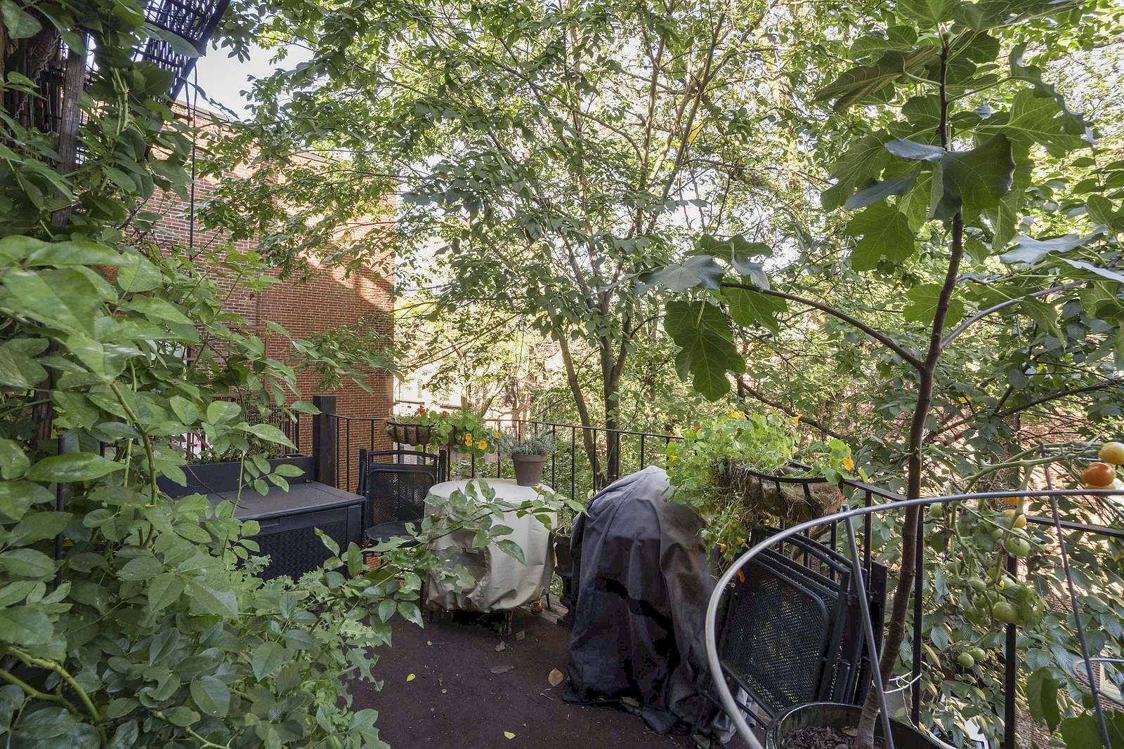 36 Worcester Sq, South Boston