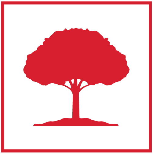 32 Irving St, Beacon Hill