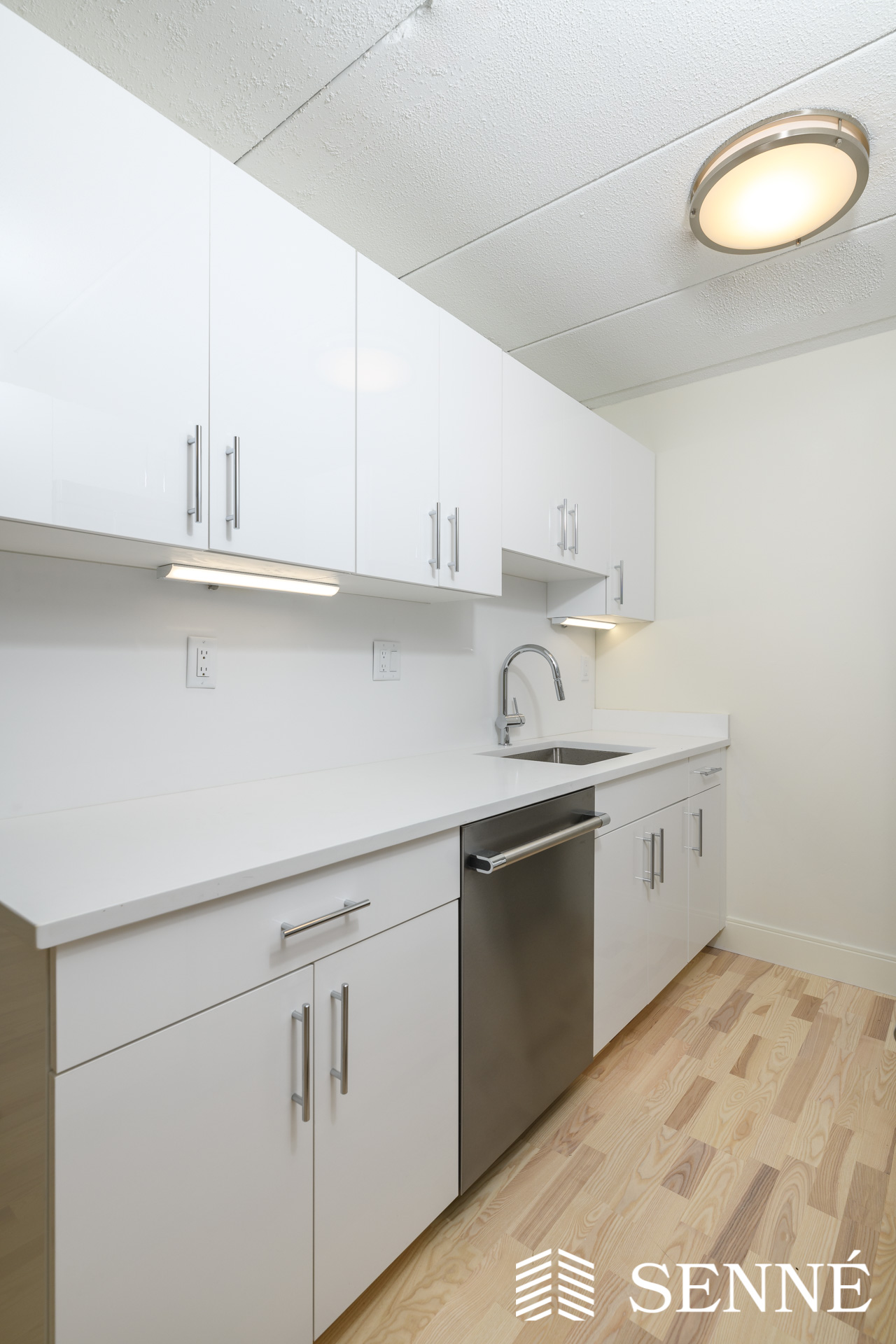 16 Trowbridge St, Harvard Square