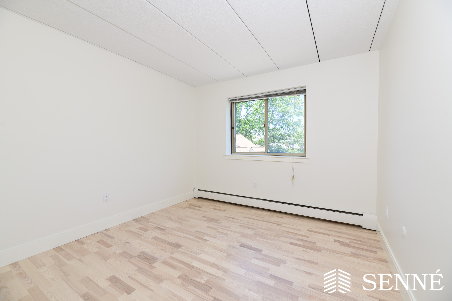 16 Trowbridge St, Harvard Square