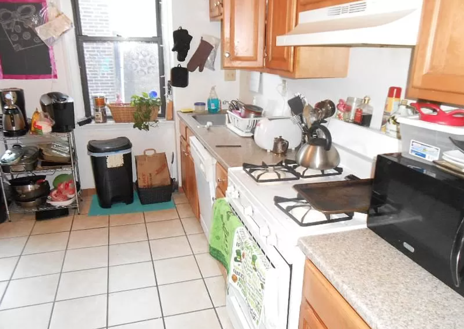 11 Cummings, Brighton