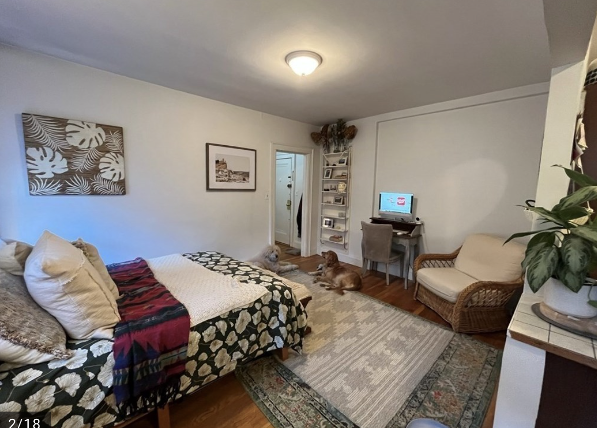 52 Strathmore Rd, Brighton