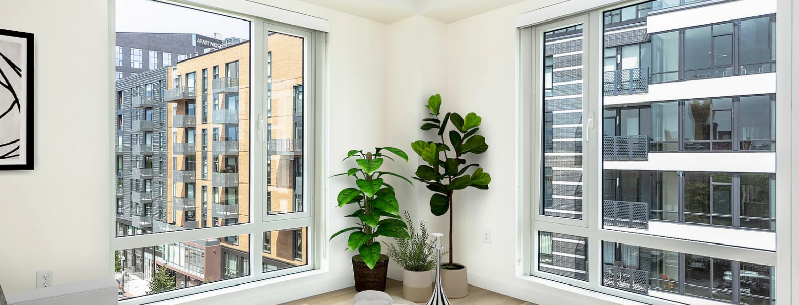 55 Traveler St, South End