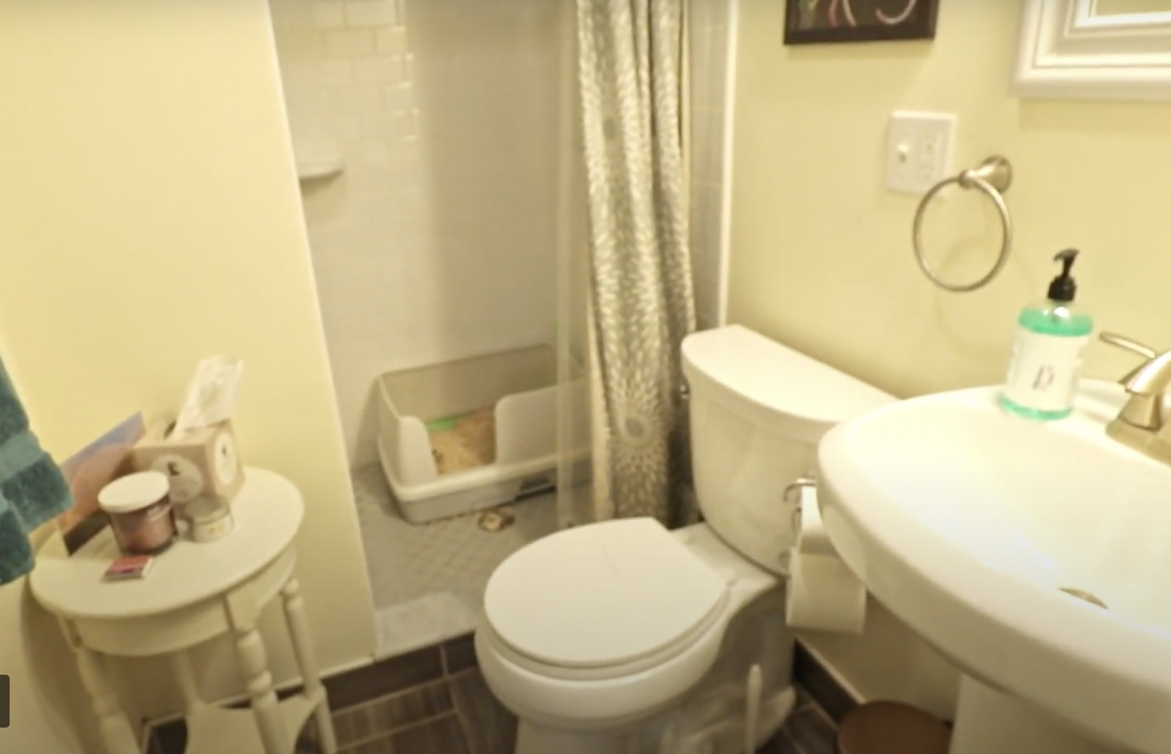 233 Boylston St, Brookline Hills