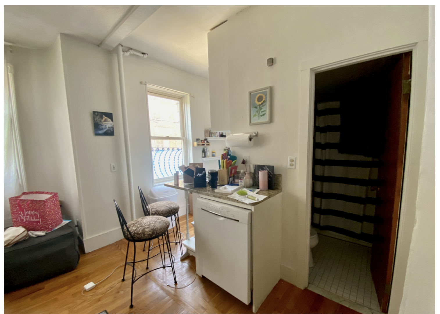 108 Myrtle St, Beacon Hill