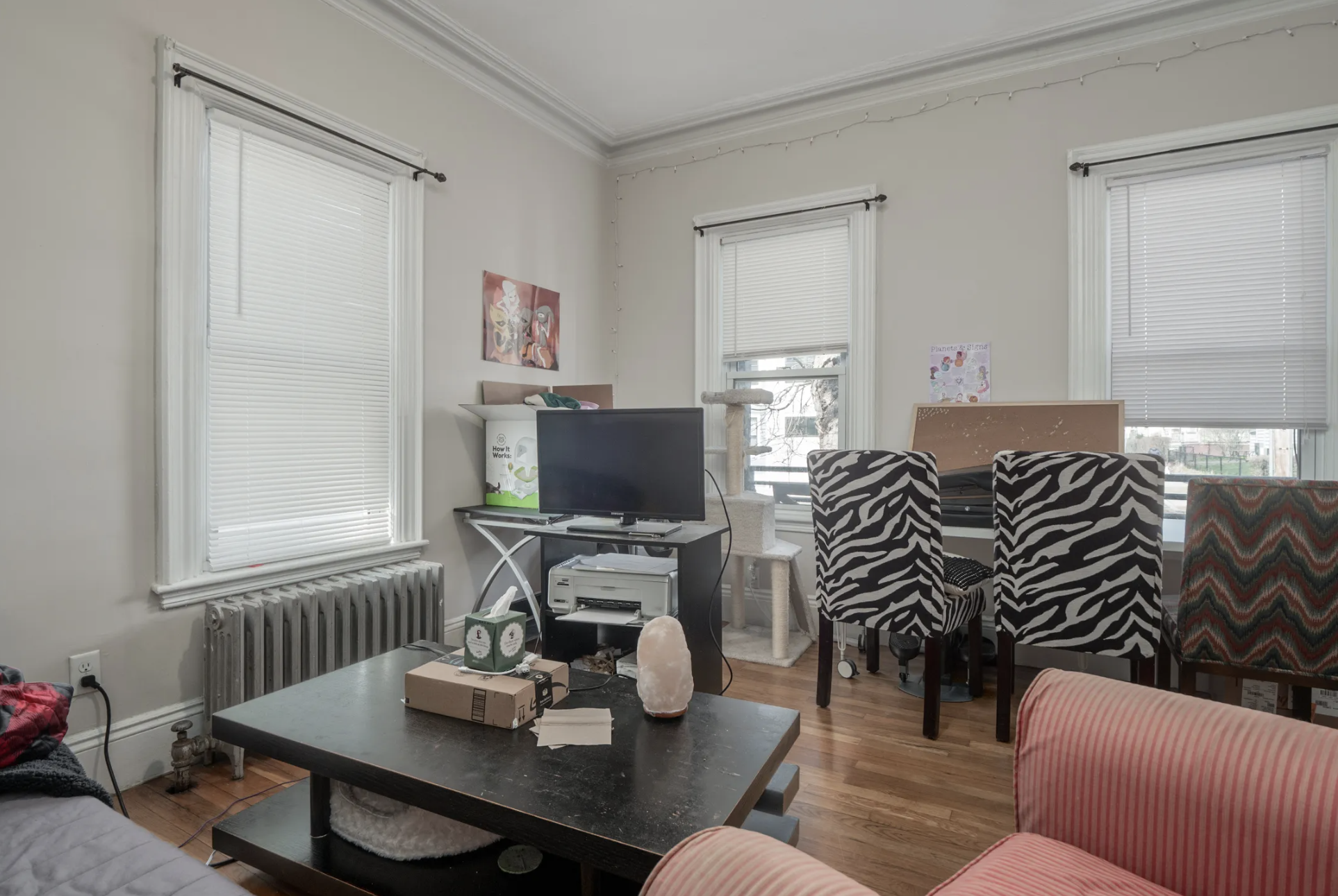 44 Cameron Ave, Davis Square