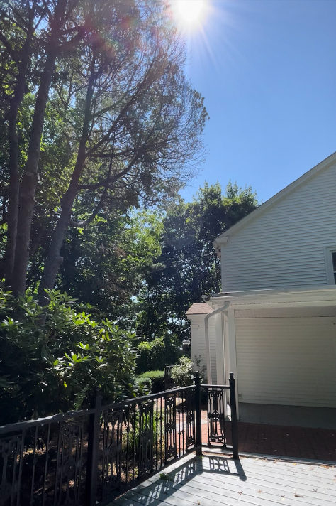 198 Wolcott Rd, Chestnut Hill