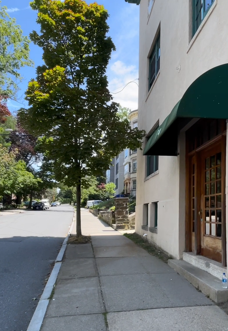 174 Winthrop, Washington Square