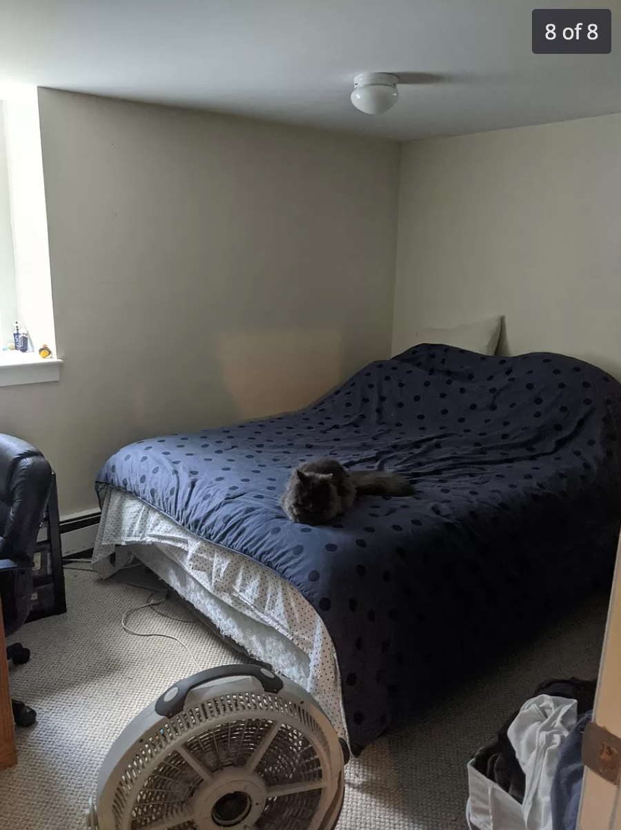 227 Faneuil St, Brighton