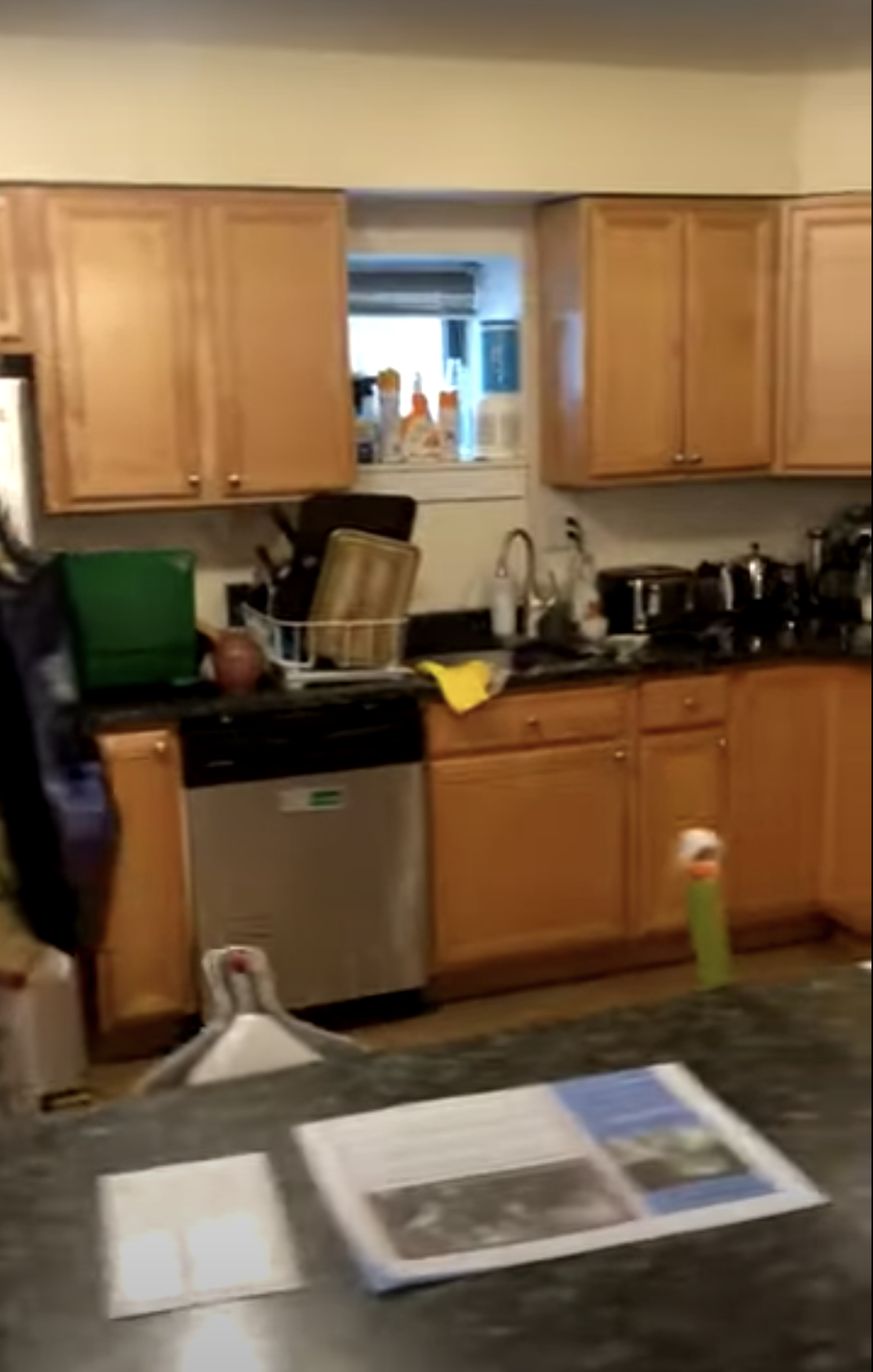 3 Douglas Park, South End