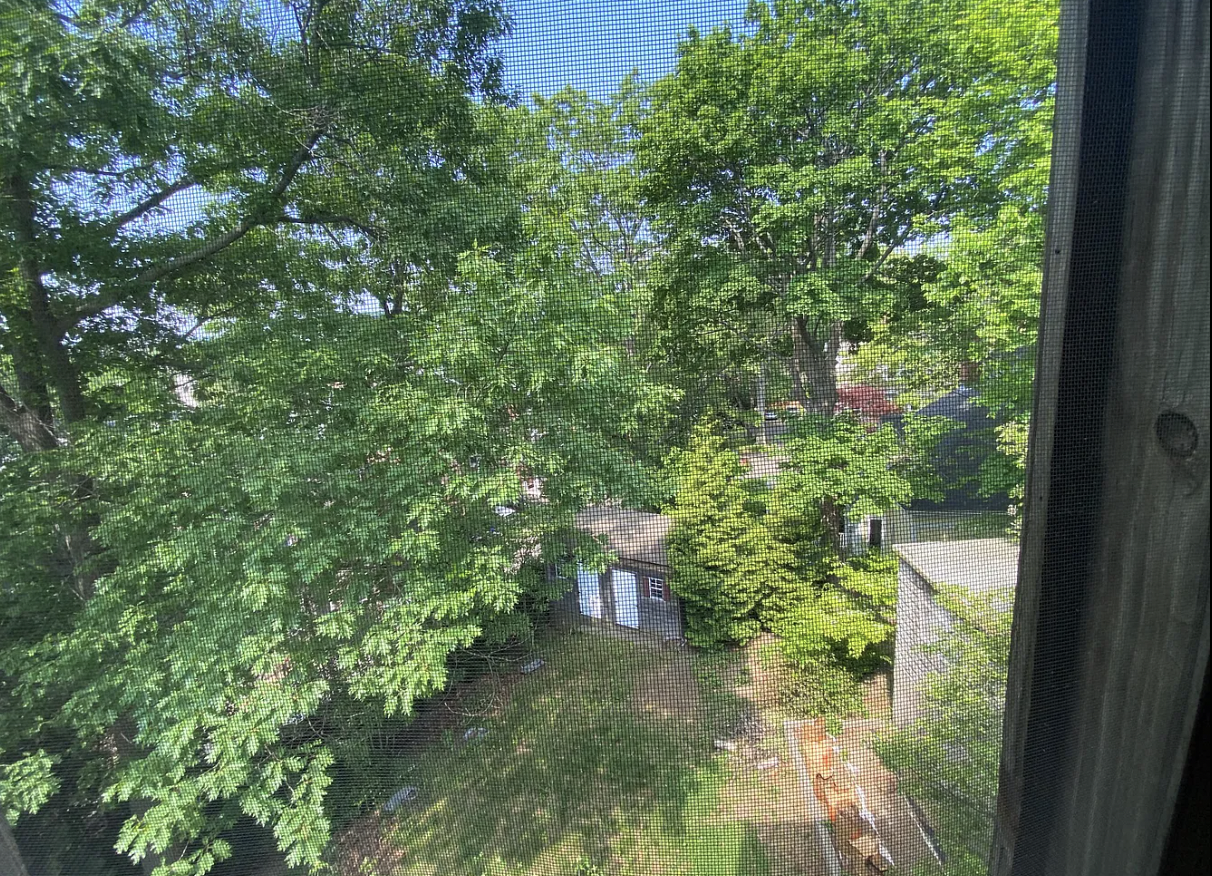 90 Browne St, Coolidge Corner