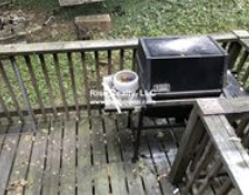 92 Algonquin, Newton