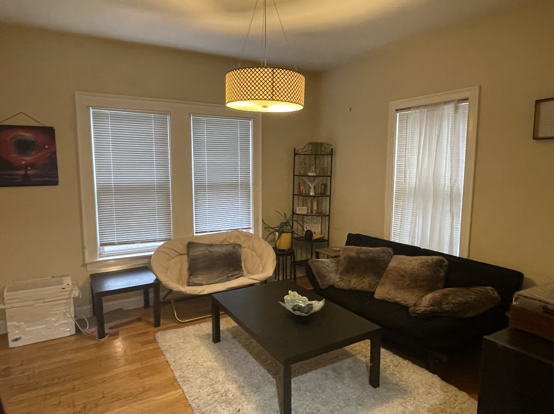 16 Seager Ct, Brighton