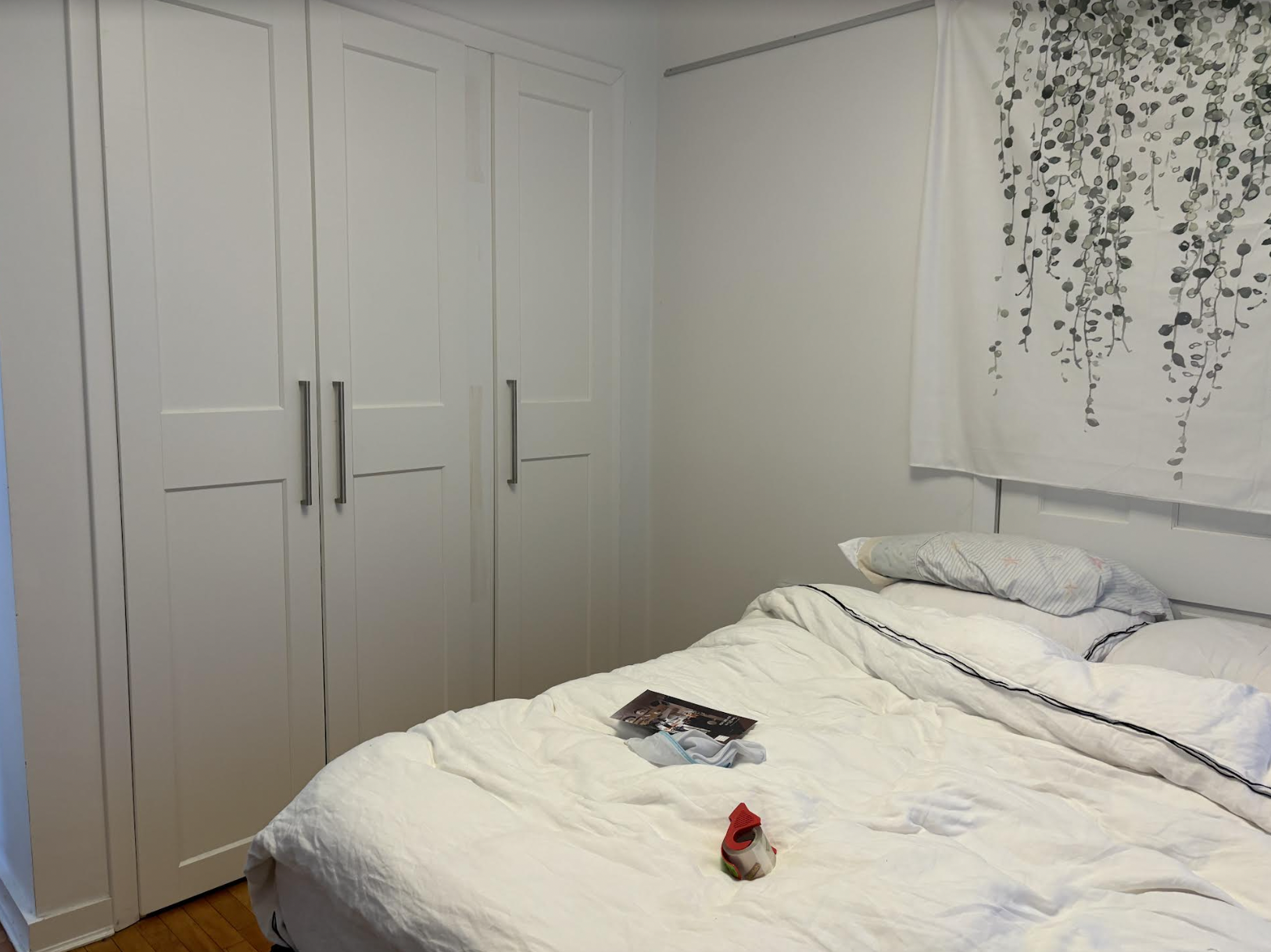 229 Harvard St, The Port