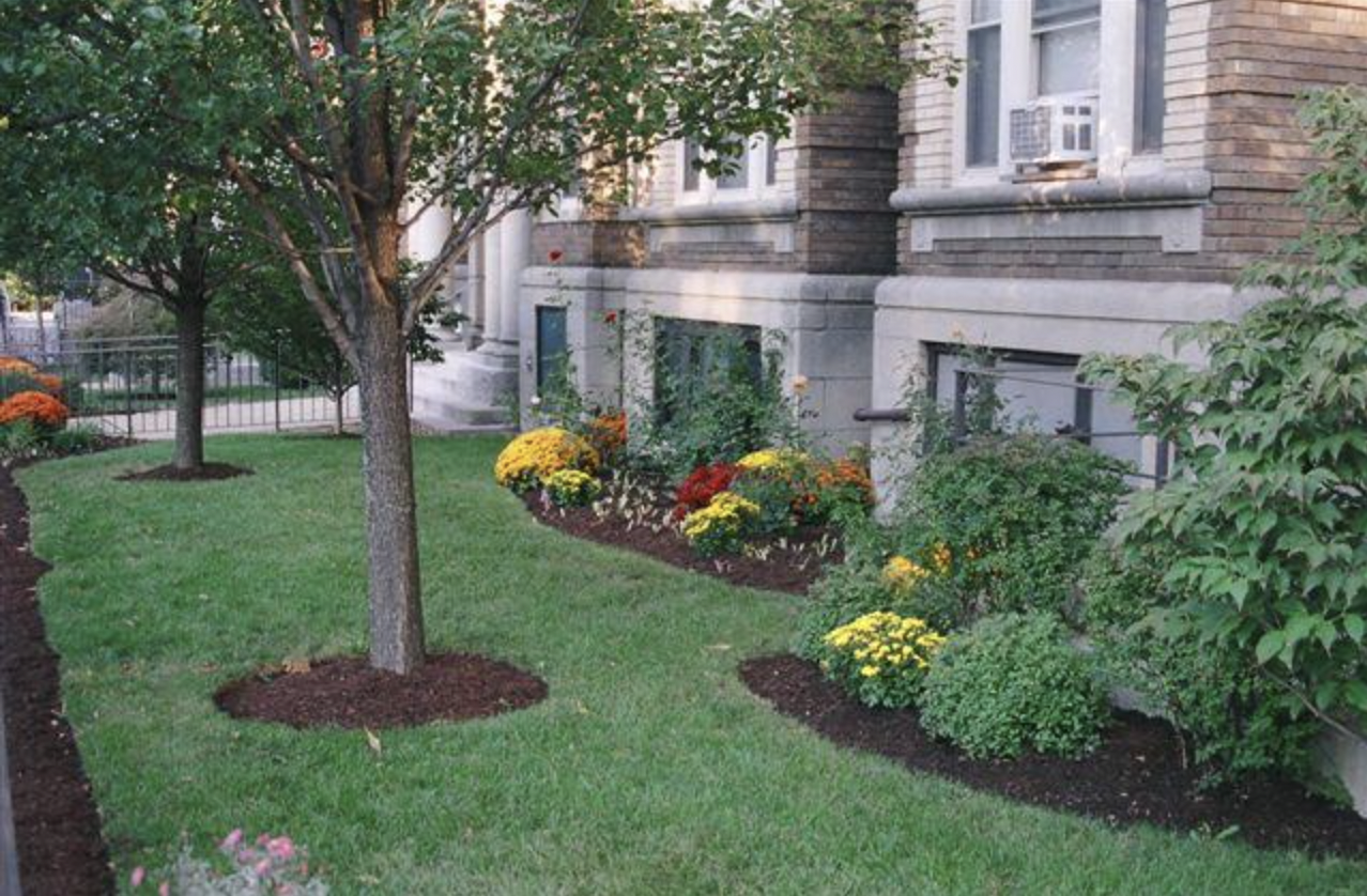 1209 Boylston St, Fenway