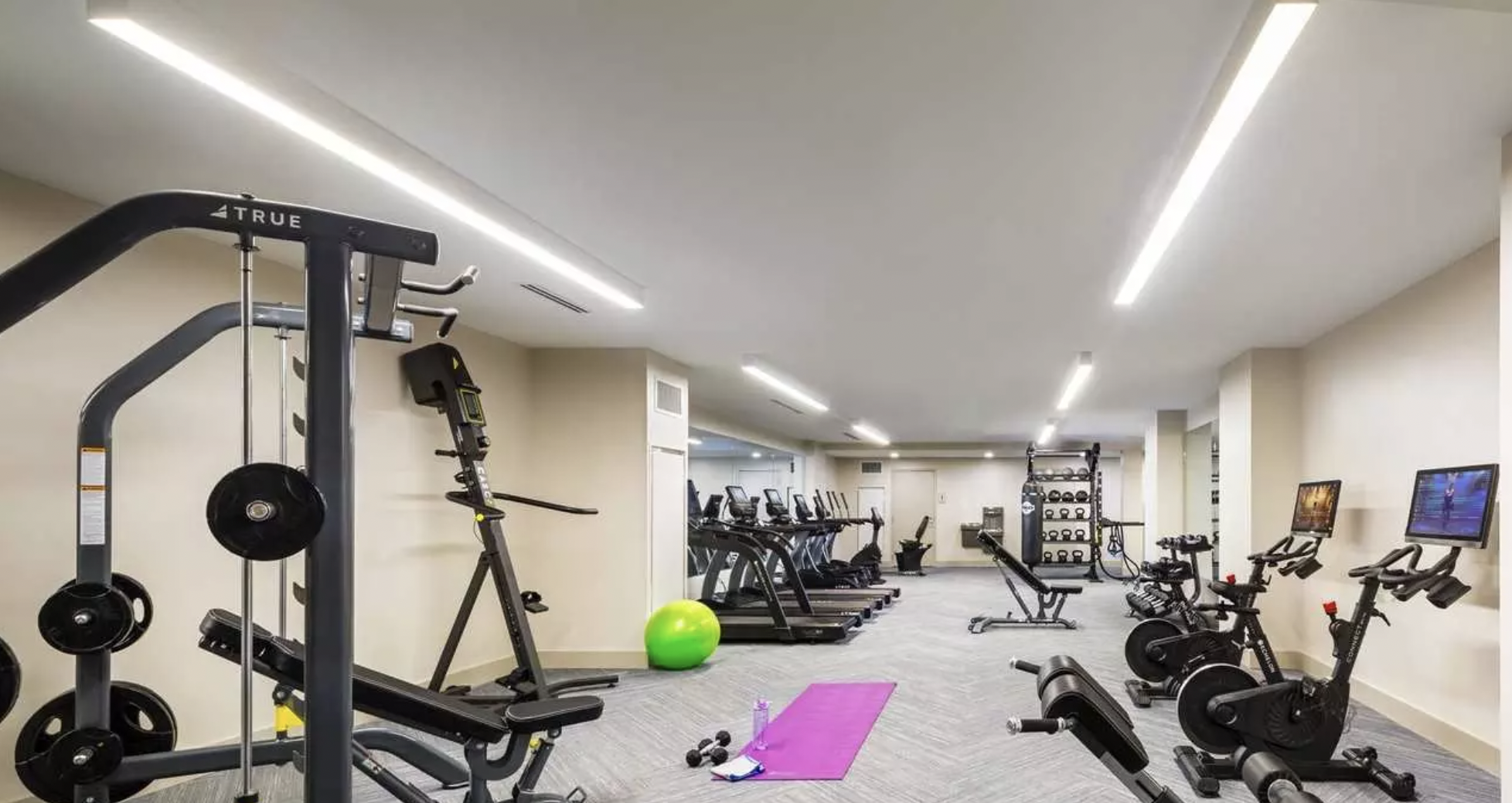 101 Asheville Rd, Chestnut Hill