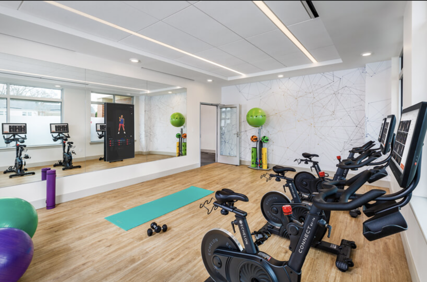 101 Asheville Rd, Chestnut Hill