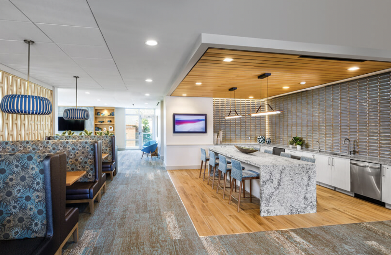 101 Asheville Rd, Chestnut Hill