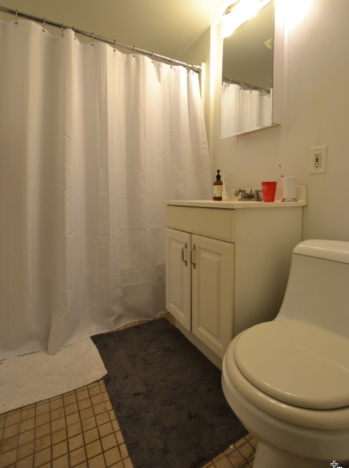 54 Egmont St, Coolidge Corner