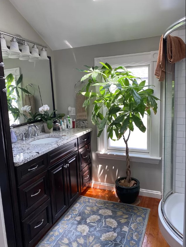 80 Bay State Ave, Davis Square