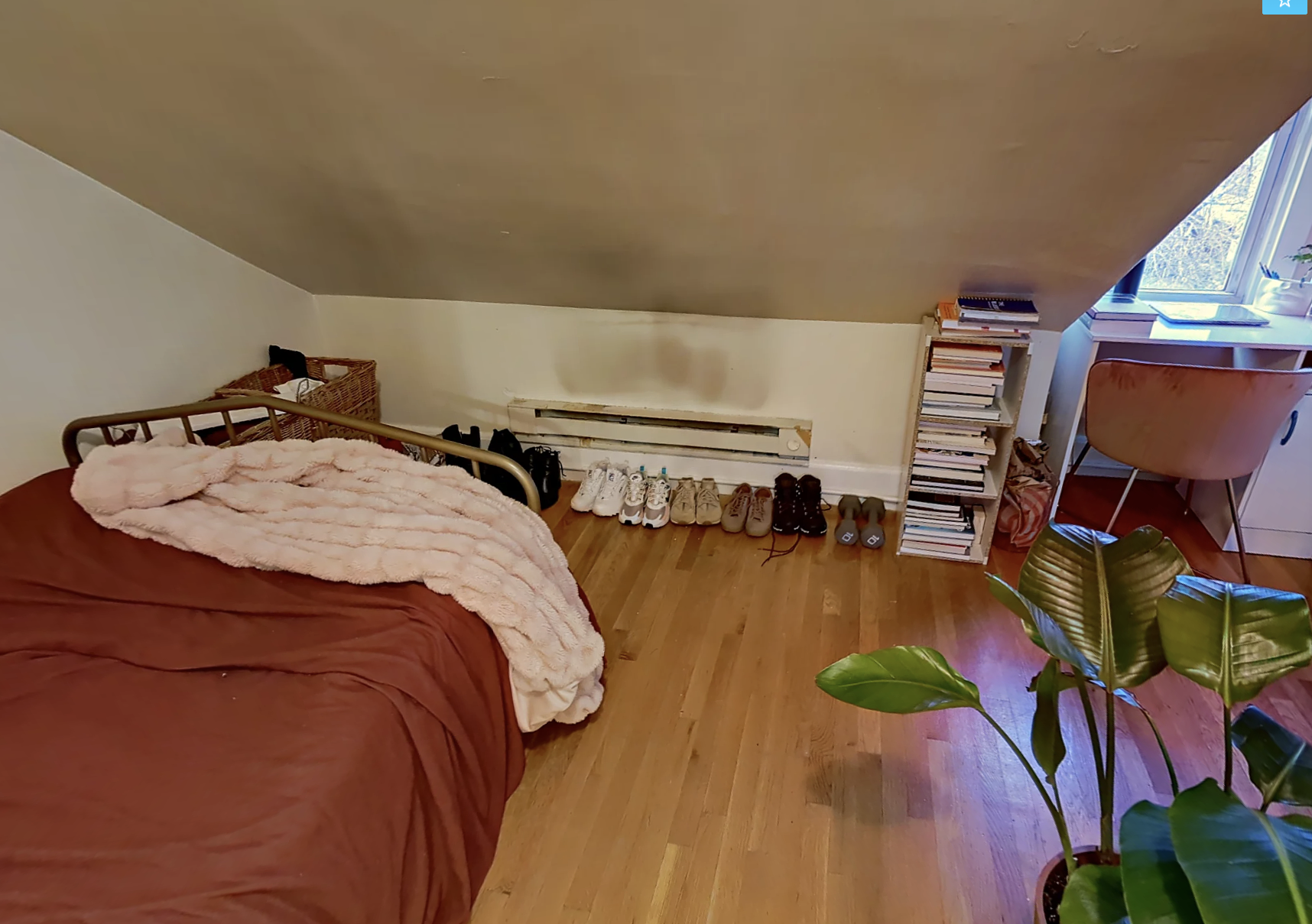 216 Freeman St, Coolidge Corner
