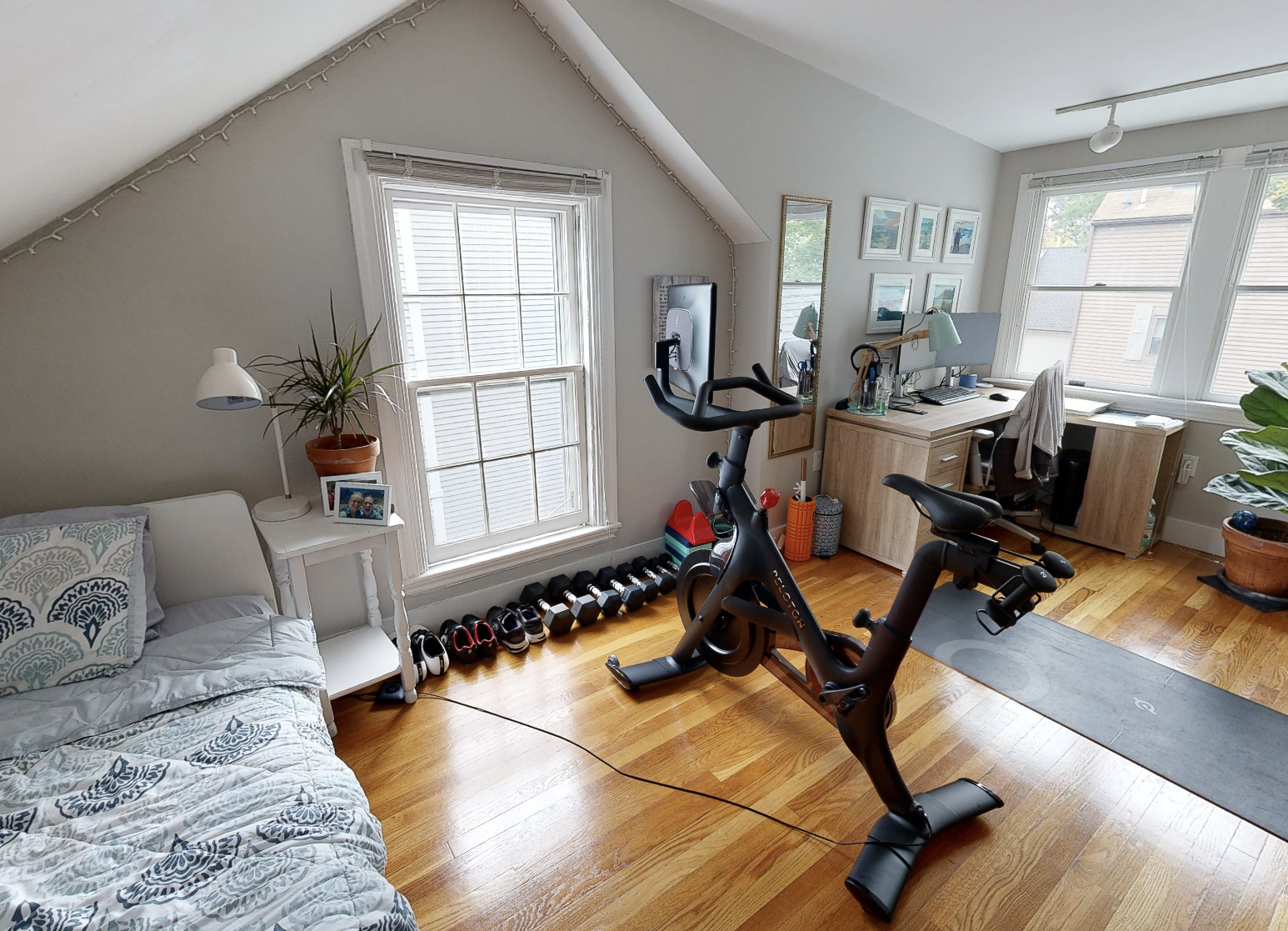 14 Mount Auburn St, Harvard Square