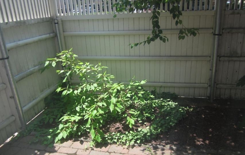 369 Franklin St, Central Square