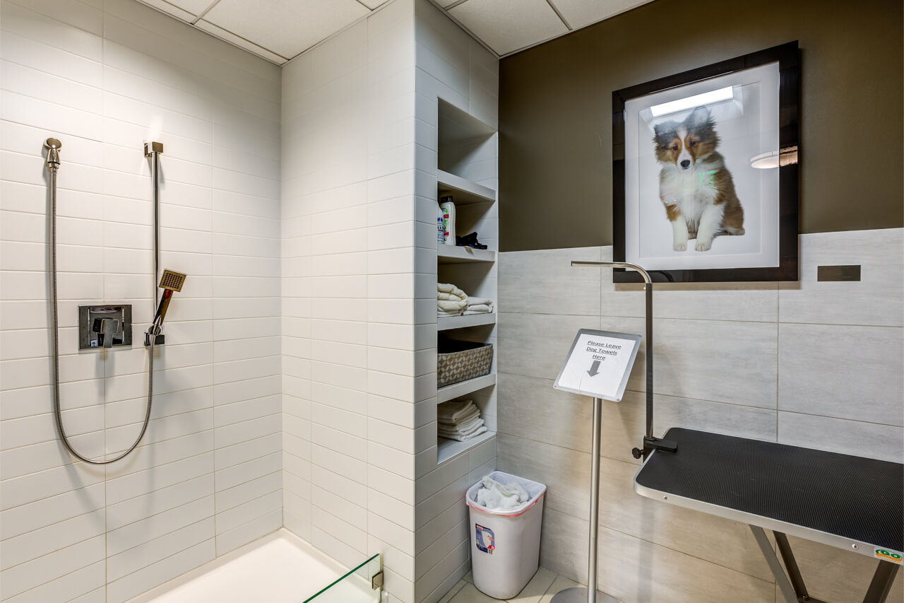 665 Washington St, Downtown