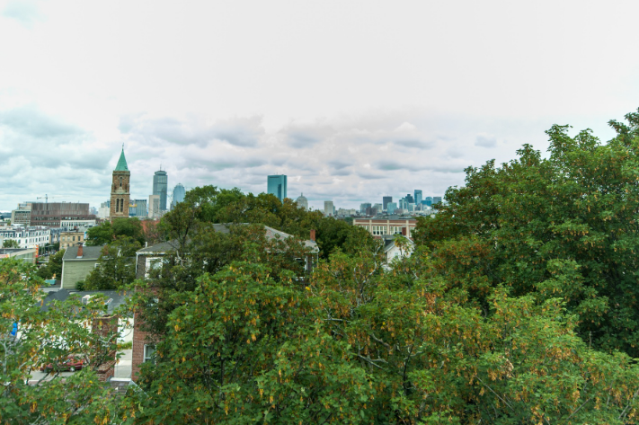 6 Moreland St, Roxbury