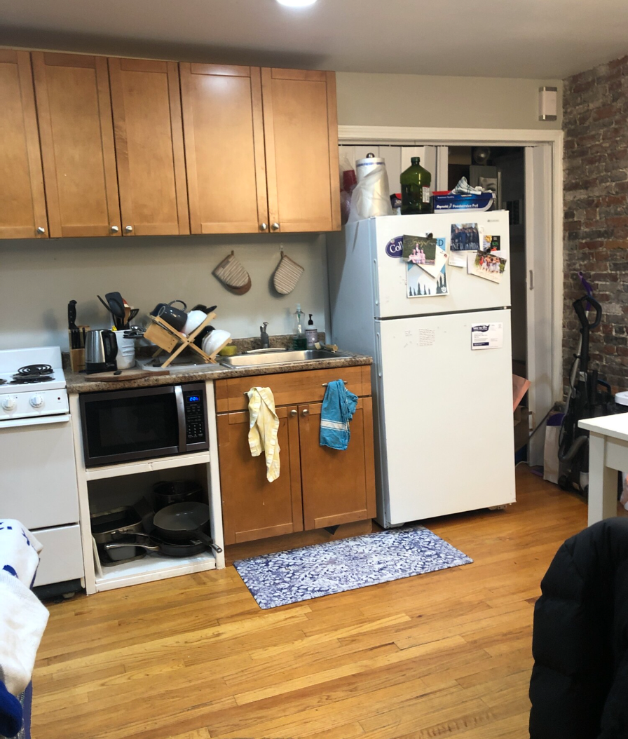 41 Anderson St, Beacon Hill